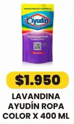 Autoservicio Capo Ayudín lavandina ropa color oferta