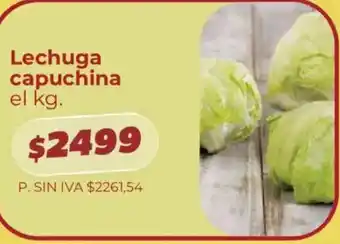 Lechuga capuchina