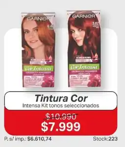 Ferniplast Garnier tintura cor intensa kit tonos seleccionados oferta
