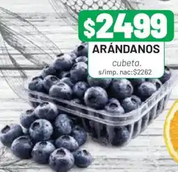 Almacor Arándanos oferta