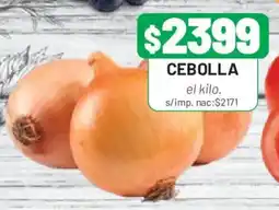 Almacor Cebolla oferta