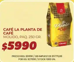 Supermercados Vea La planta de café café molido oferta