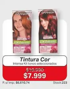 Ferniplast Garnier - tintura cor intensa kit tonos seleccionados oferta