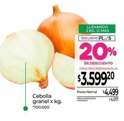 La Anonima Cebolla granel x kg oferta