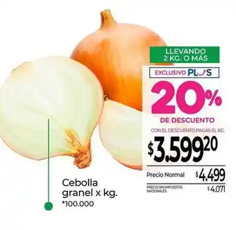 Cebolla granel x kg