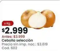 Coto Cebolla seleccion cod. 602 oferta