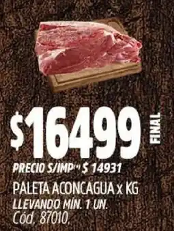 Supermercados Yaguar Paleta aconcagua oferta