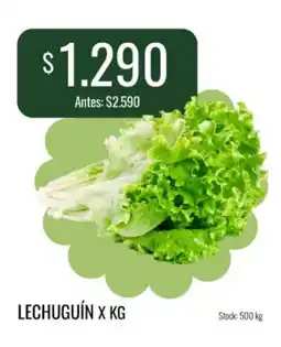 Super MAMI Lechuguín oferta