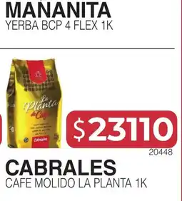 Masivos Mananita yerba bcp 4 flex 1k oferta