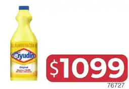 Masivos Oyudin agua lavandina común oferta