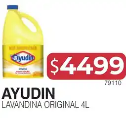 Masivos Ayudin lavandina original oferta