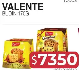 Masivos Valente budin oferta