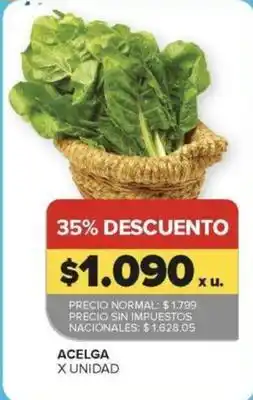 Carrefour Acelga oferta