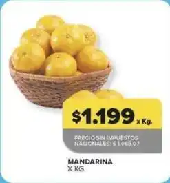 Carrefour Mandarina oferta