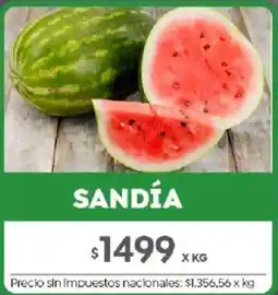 Jumbo Sandía oferta