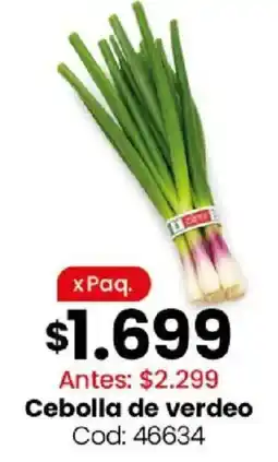Coto Cebolla de verdeo oferta
