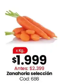 Coto Zanahoria selección oferta