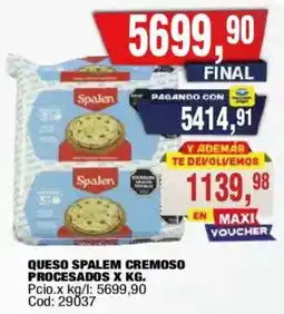Maxiconsumo Spalen queso spalem cremoso procesados oferta