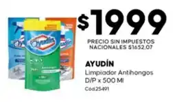 Diarco Ayudín limpiador antihongos oferta