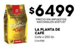 Diarco La planta de café oferta