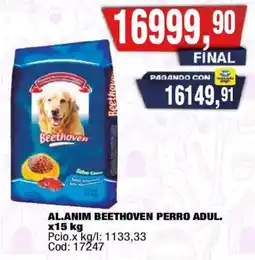 Maxiconsumo Beethoven perro adul. oferta