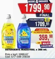 Maxiconsumo Magistral - detergente magistral x 300 ml oferta
