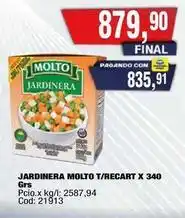 Maxiconsumo Molto - jardinera molto t/recart x 340 grs oferta