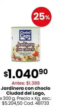 Coto Ciudad del lago - jardinera con choclo oferta