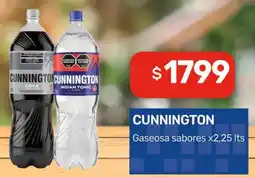 Nini Mayorista Cunnington gaseosa sabores oferta