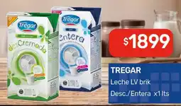 Nini Mayorista Tregar leche lv brik oferta