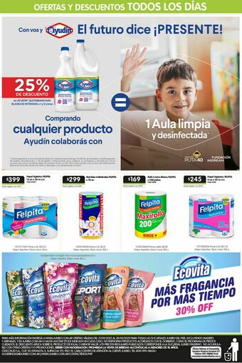 Jumbo Lavandina ayudin oferta