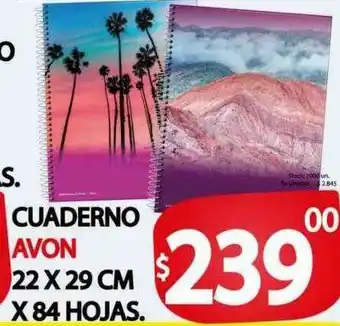 Cuaderno Avon 22x29cm X 84 Hojas