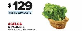 Carrefour Maxi Acelga x paquete oferta