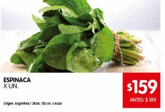 Disco Espinaca x un oferta