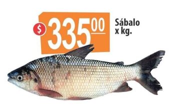 Autoservicio Capo Sábalo x kg. oferta