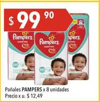 Hergo Pampers Pañales x 8 unidades oferta