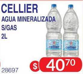 Masivos Cellier Agua Mineralizada S-gas 2L oferta