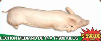 Lechon Mediano De 14 A 17.900 Kilos