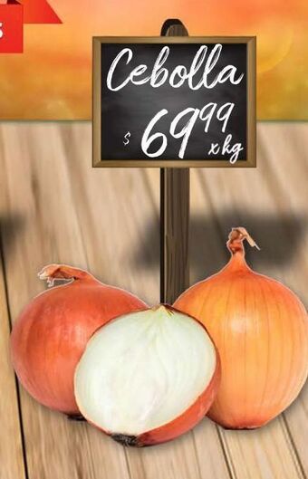 Makro Cebolla x kg oferta