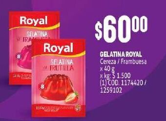Makro Gelatina royal oferta