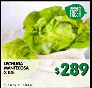 Jumbo Lechuga mantecosa x kg oferta