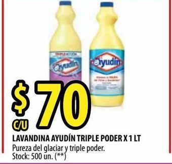Punto Mayorista Lavandina ayudín triple poder x 1 lt oferta