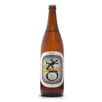 Coto Cerveza pilsener iguana botella 1 l oferta