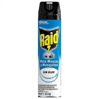 Coto Insecticida raid mata moscas y mosquitos sin olor en aerosol 360cc oferta