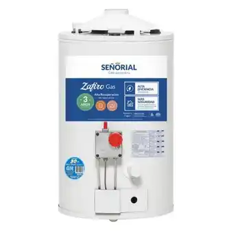 Easy Termotanque señorial 30 lts gas natural oferta