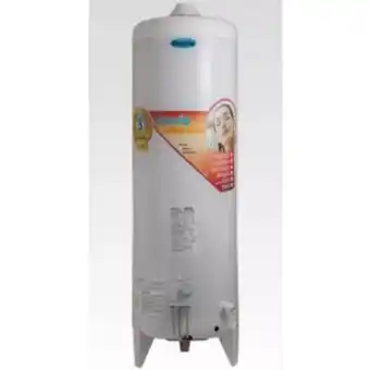 Termotanque a gas escorial 120l de pie