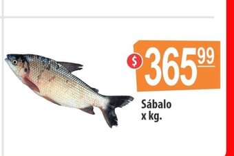 Autoservicio Capo Sábalo x kg oferta