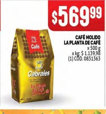 Makro Cafe molido la planta de café oferta