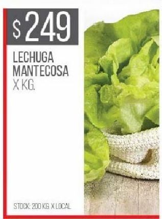 Disco Lechuga mantecosa x kg oferta
