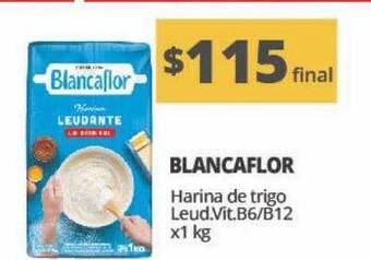 Nini Mayorista Blancaflor Harina De Trigo Leud Vit B6 B12 oferta